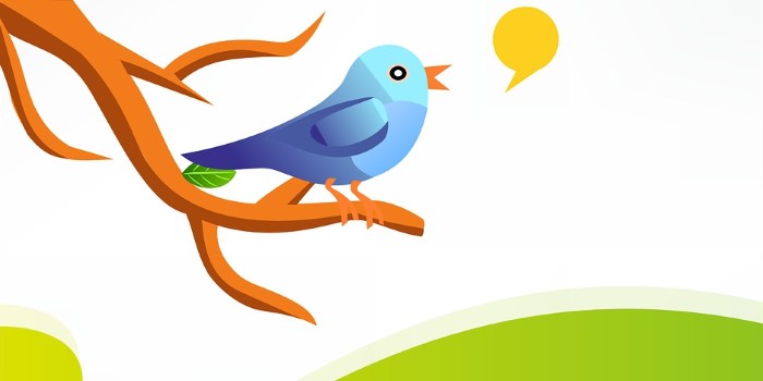 Twitter : 12 conseils pour optimiser les conversions vers son site E-commerce