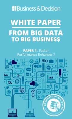 [WHITE PAPER] From Big Data to Big Busine$$