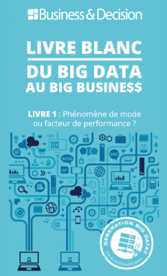 [Livre blanc] Des Big Data au Big Busine$$
